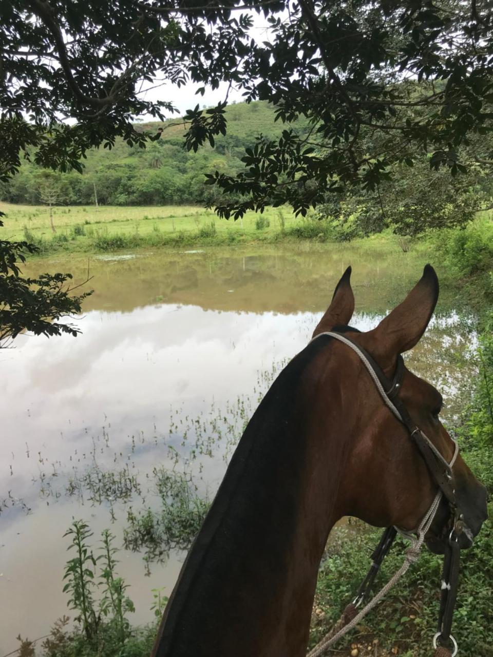 Fazenda Quinta da Esperança- Pousada e Lazer Tiradentes Exterior foto