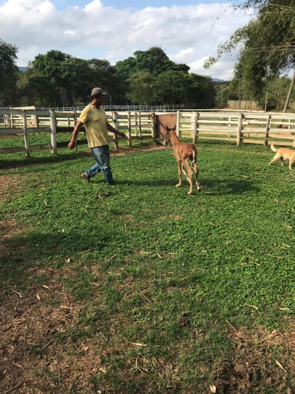 Fazenda Quinta da Esperança- Pousada e Lazer Tiradentes Exterior foto
