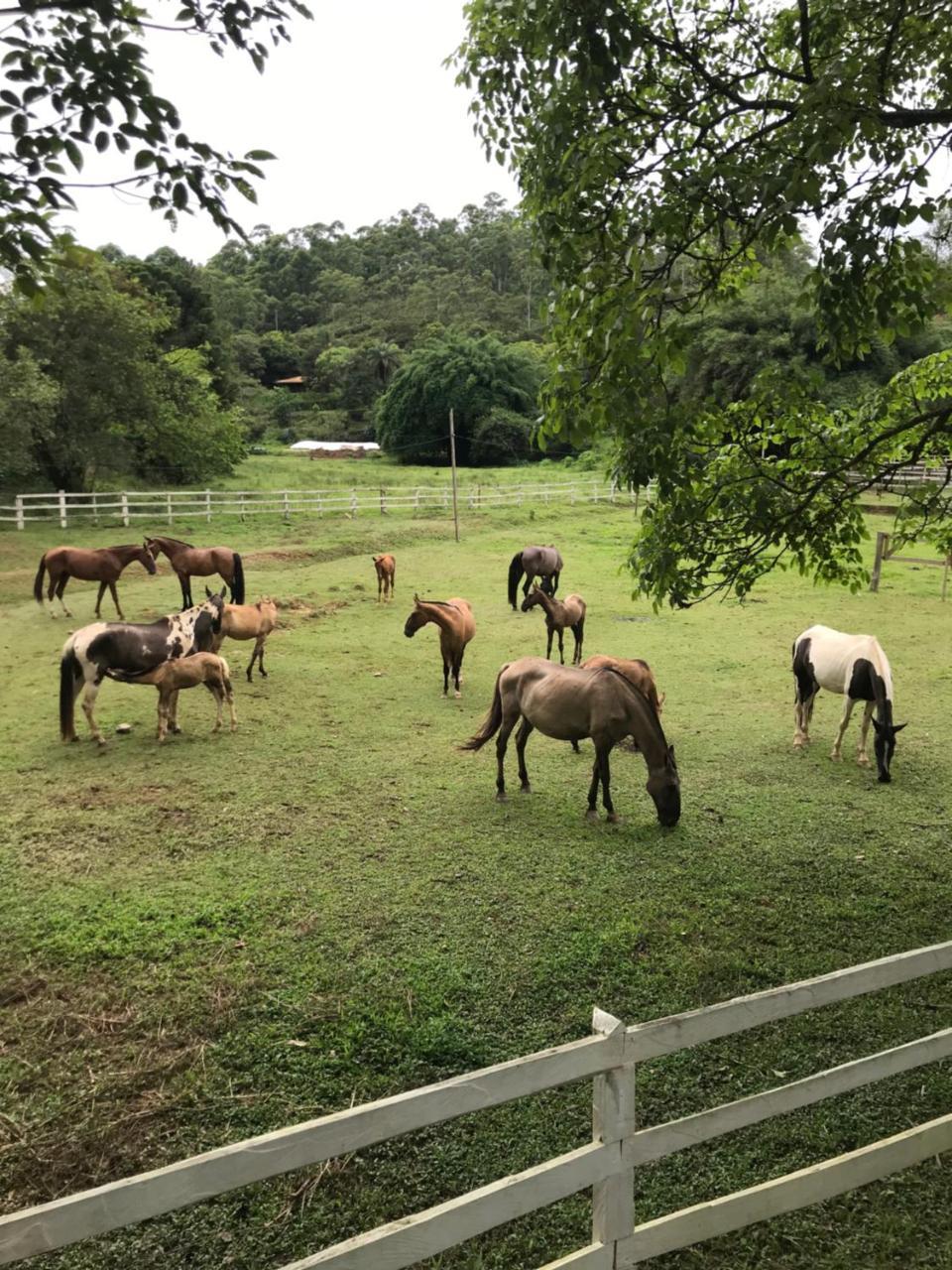 Fazenda Quinta da Esperança- Pousada e Lazer Tiradentes Exterior foto