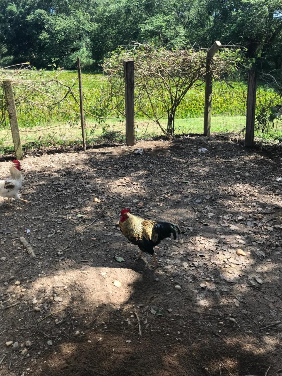 Fazenda Quinta da Esperança- Pousada e Lazer Tiradentes Exterior foto